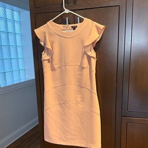 Ann Taylor Peach Mini Dress with Ruffle Sleeves